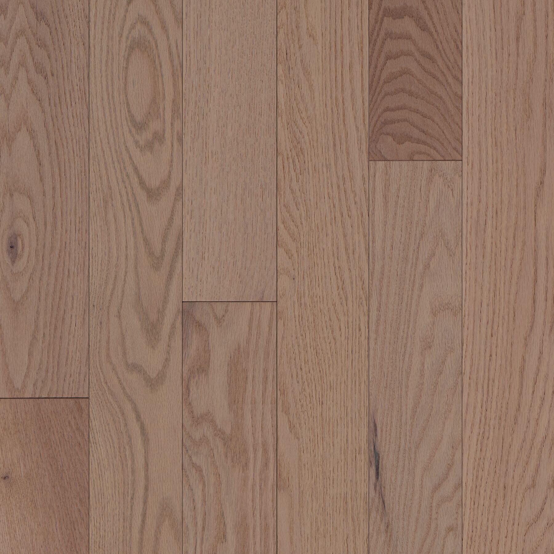 Authentic Roots Almond Cream Solid Hardwood BRSB49SK47W