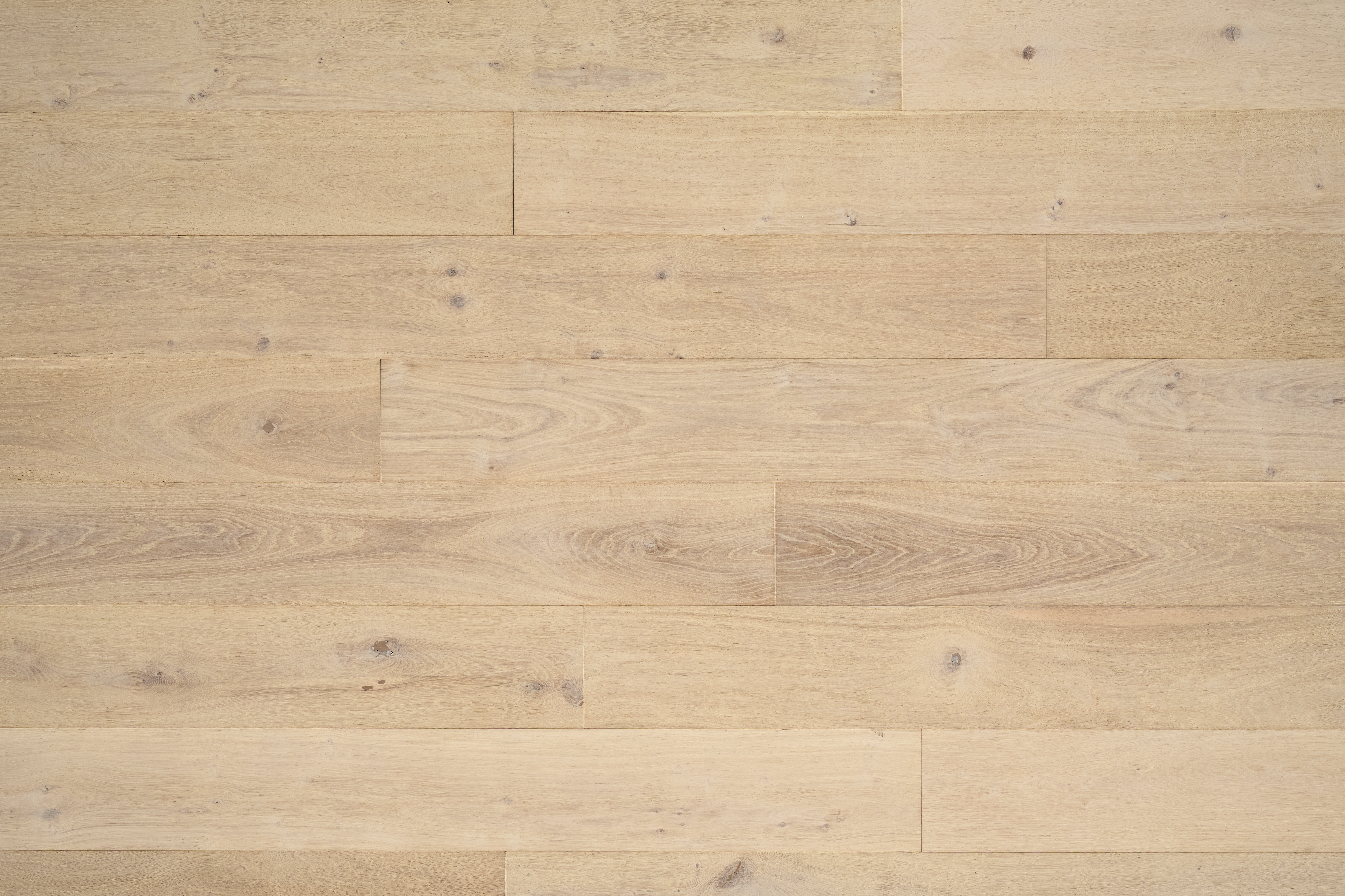 Inscription Calibri Calm Engineered Hardwood EK9TW498W
